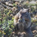 cambria2012CN_0092 (November 04, 2012)